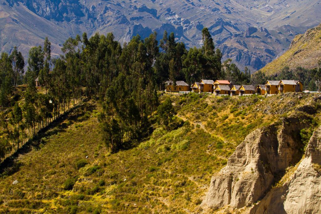 Eco Inn Colca Yanque Esterno foto