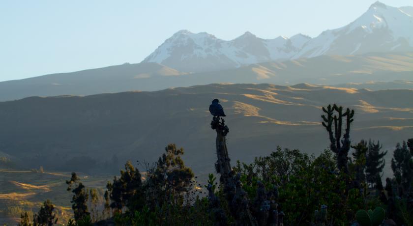 Eco Inn Colca Yanque Esterno foto