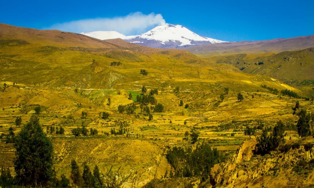 Eco Inn Colca Yanque Esterno foto