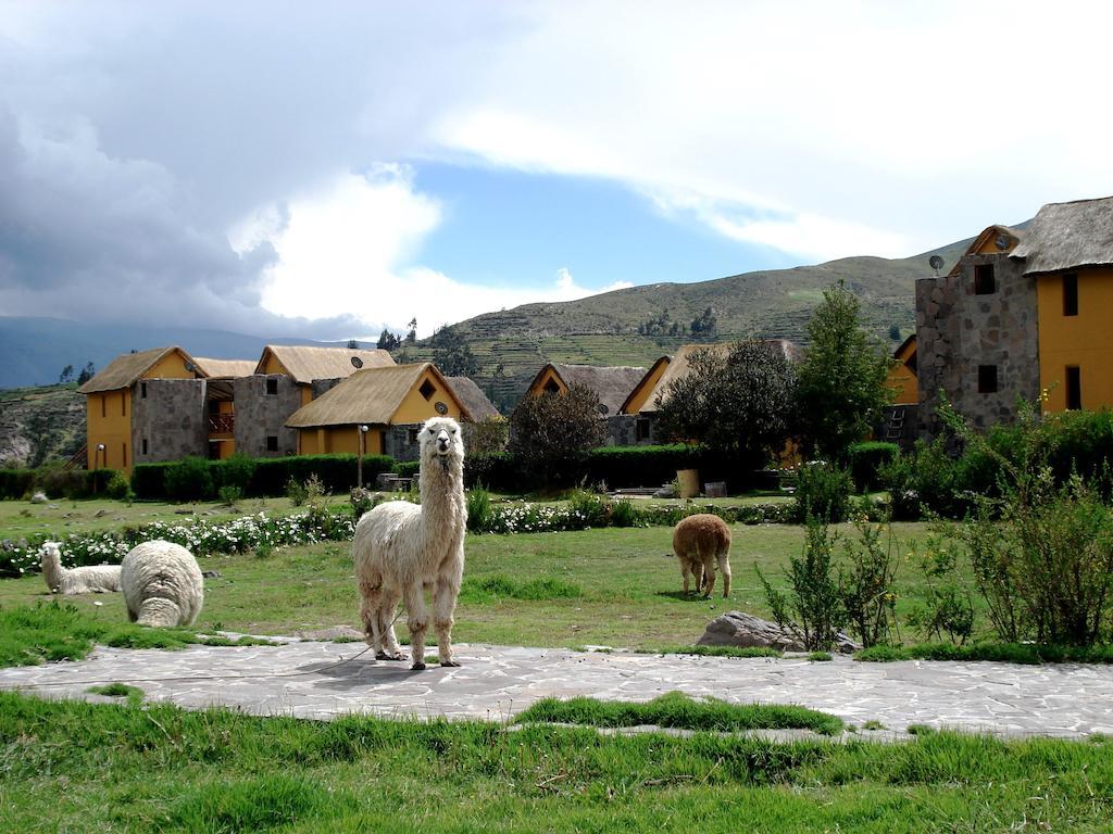 Eco Inn Colca Yanque Esterno foto